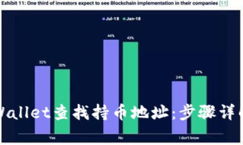 如何通过TPWallet查找持币地址：步骤详解与注意事项