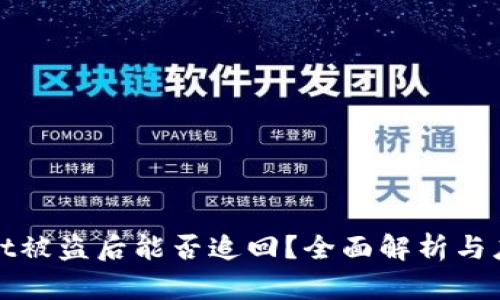 TPWallet被盗后能否追回？全面解析与应对策略