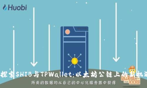  探索SHIB与TPWallet：以太坊公链上的新机遇